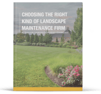 choosing-the-right-kind-of-landscap-maintenance-firm