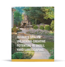 Unlocking Creative Potential in Small Yard Landscaping-cvr2b